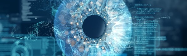 Navigating Generative AI Governance: Infosec Leader Perspectives