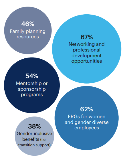 What programs, if any, does your organization have in place to attract and retain women and gender diverse talent?