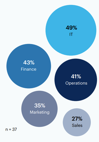 What teams have received, or will receive, budget specifically for investing in GenAI tools or solutions?