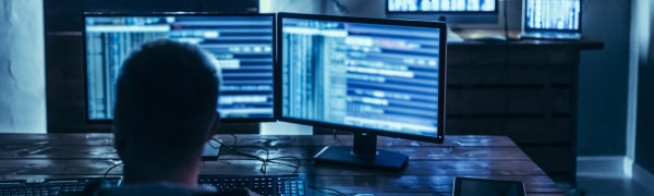 Impact & Perceptions of A Privacy-First Digital Era