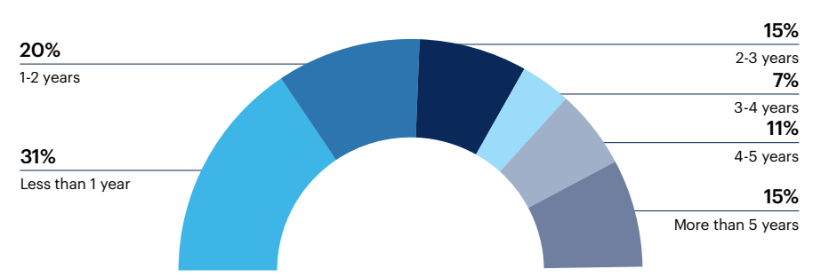 How long has your organization had a DEI strategy in place?