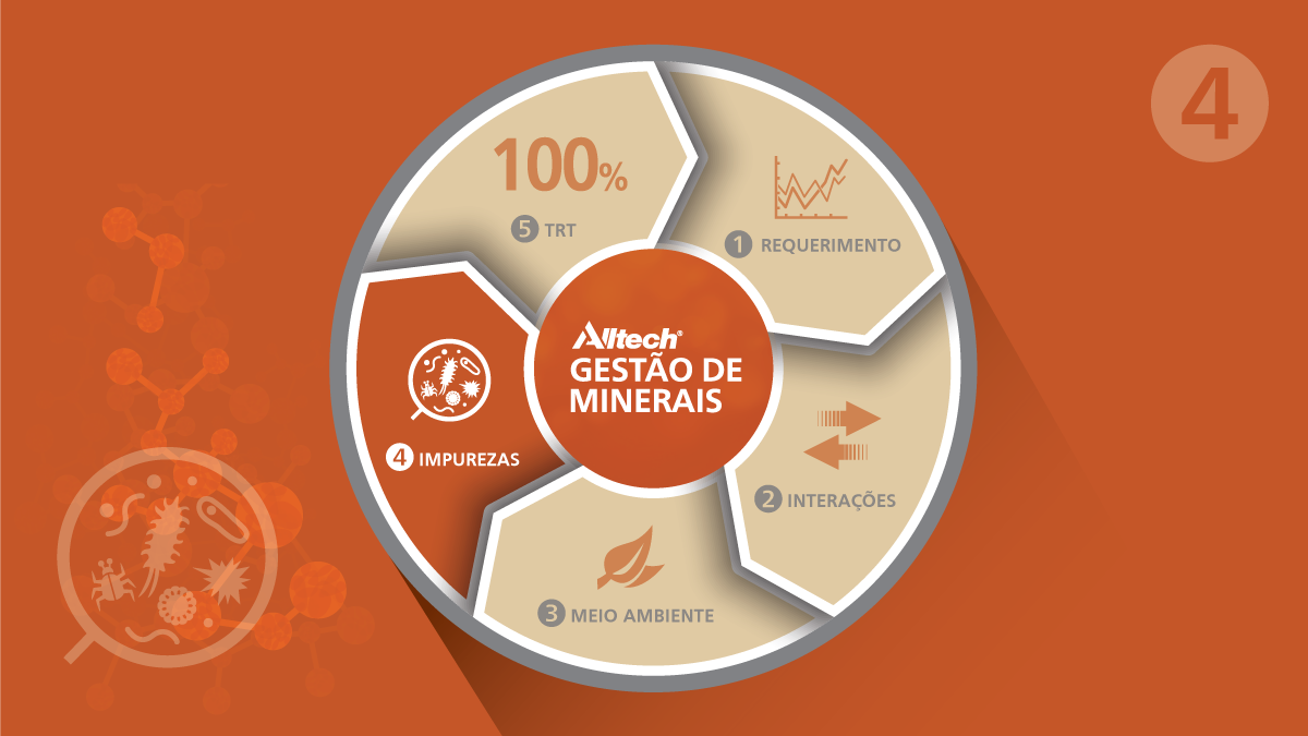 Animal Planet - Pet Shop | Catanduva SP, image size:1200x675