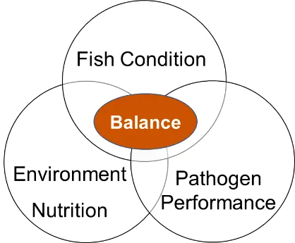 How to reduce stress on farm-raised fish | Alltech®
