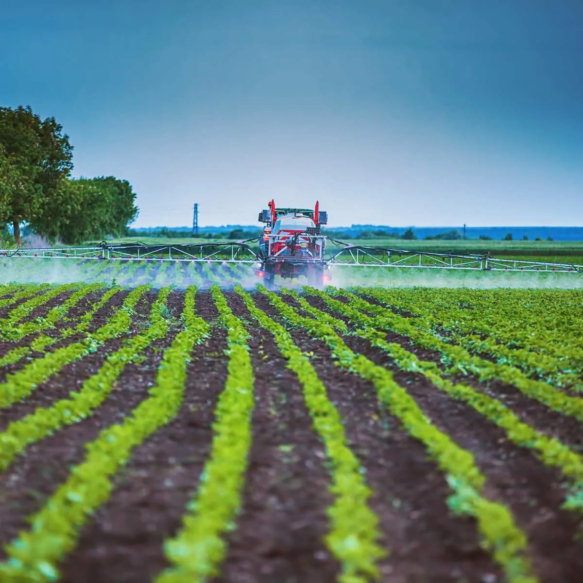 Alltech Crop Science | Alltech®