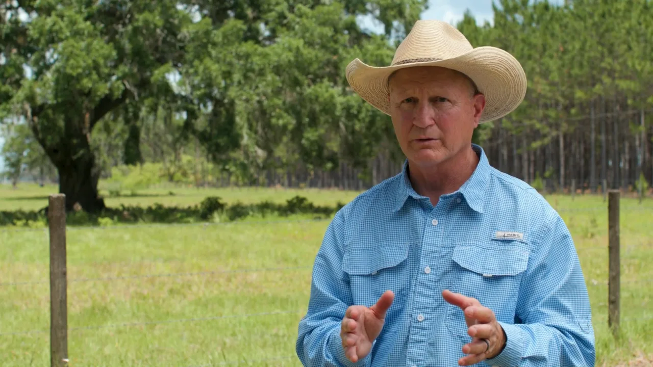 Beef Cattle | Alltech®