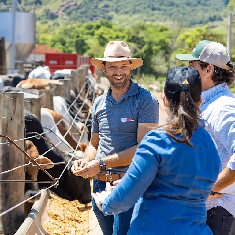 Bovinocultura de corte | Alltech®