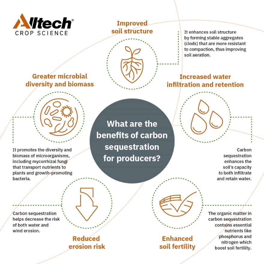 Cultivating Carbon: Unraveling the Secrets of Soil Health | Alltech®