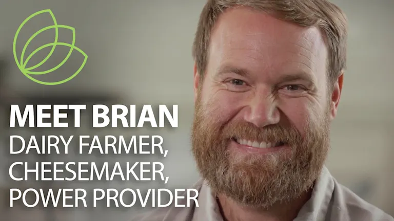 Cows keep the lights on: Using methane digesters to turn waste into ...