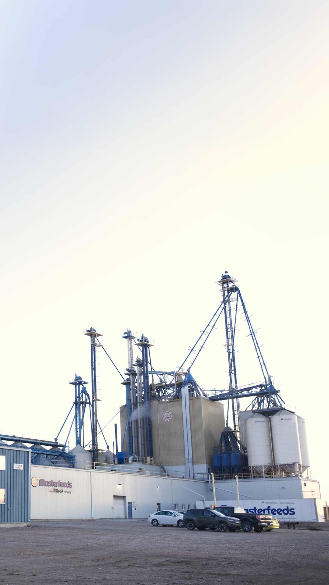 Masterfeeds | Alltech®