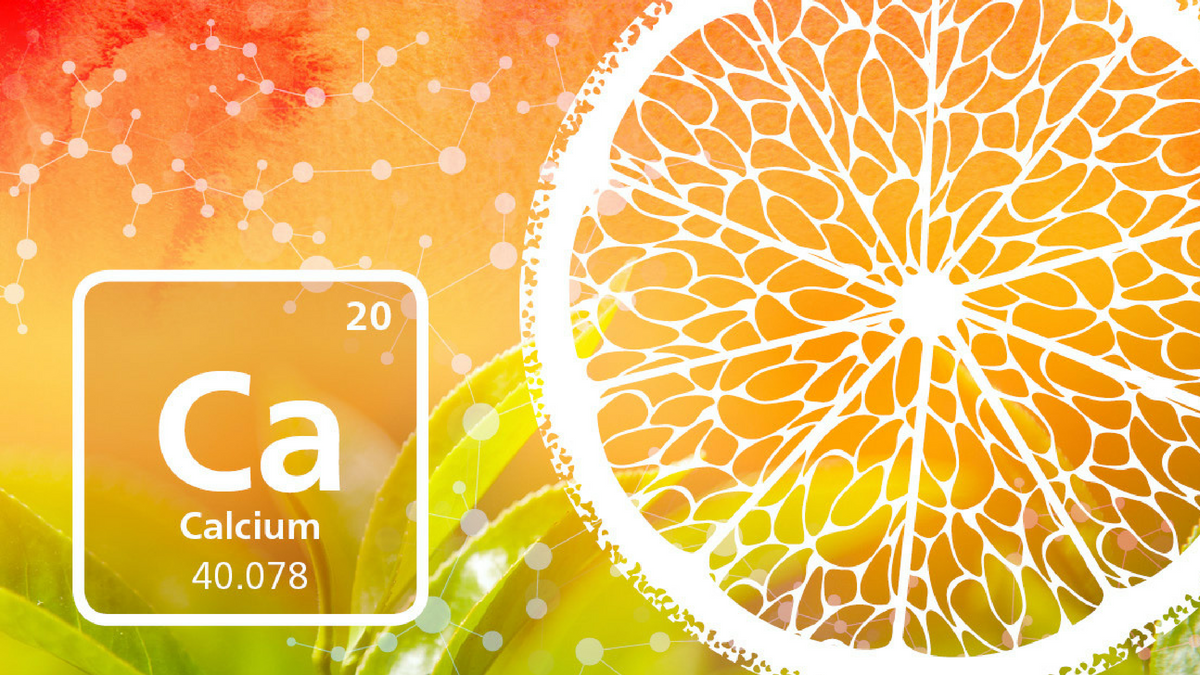 Calcium: An important macronutrient for citrus plant development | Alltech®