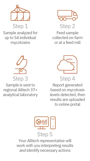 Alltech 37+® | Alltech®