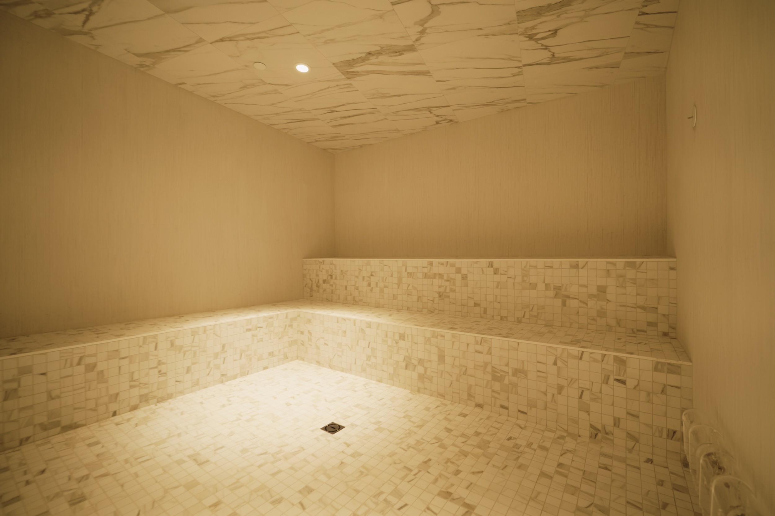 The Dupont Amenity Steam Room