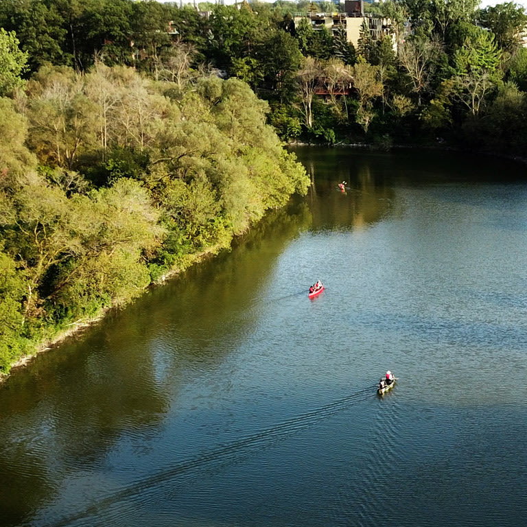 King’s Mill Park