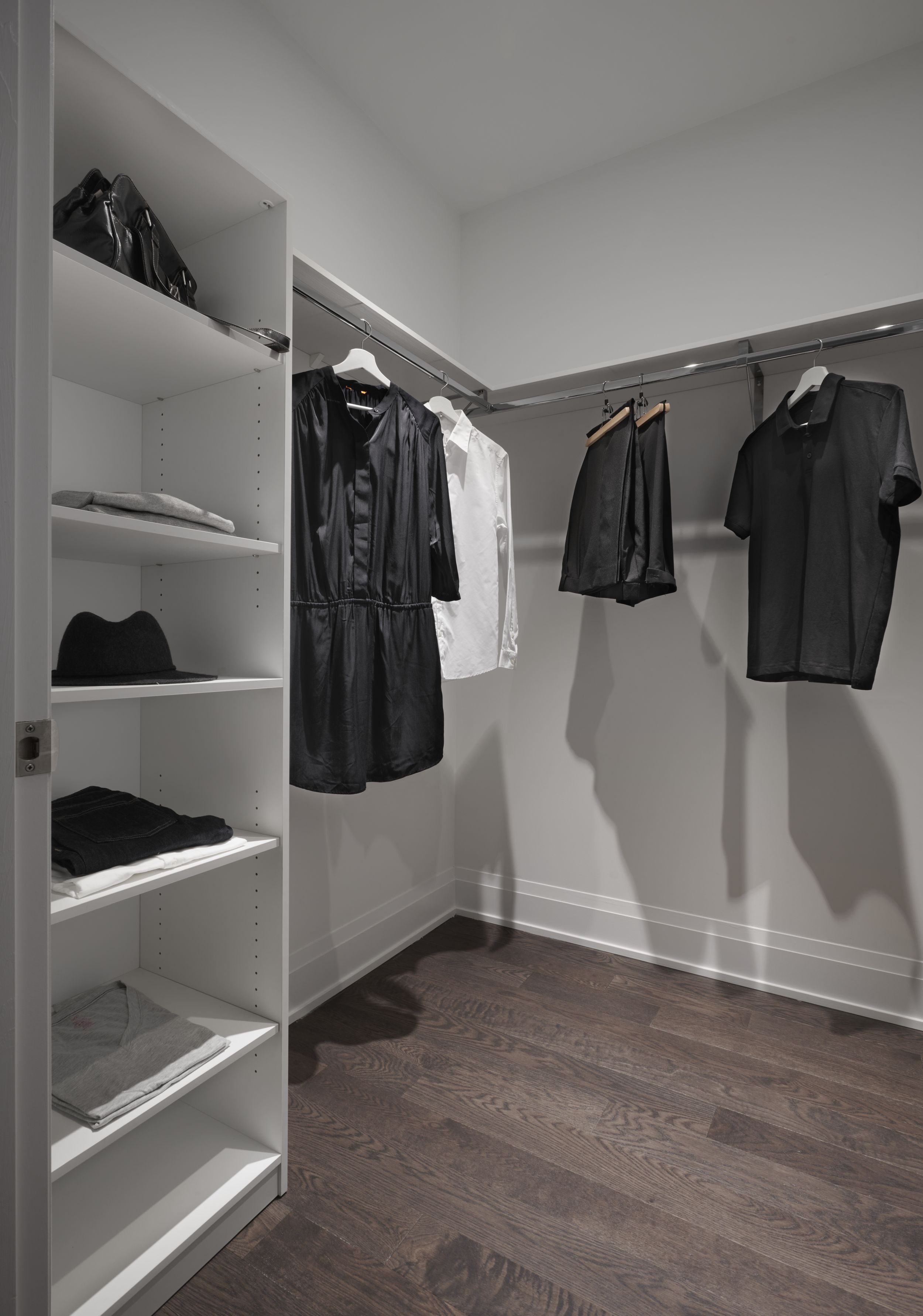 The Well Classic Series I Suite 3005 Walk-in Closet