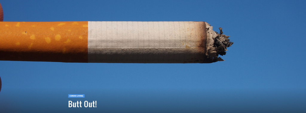 Cigarette butt  Photo