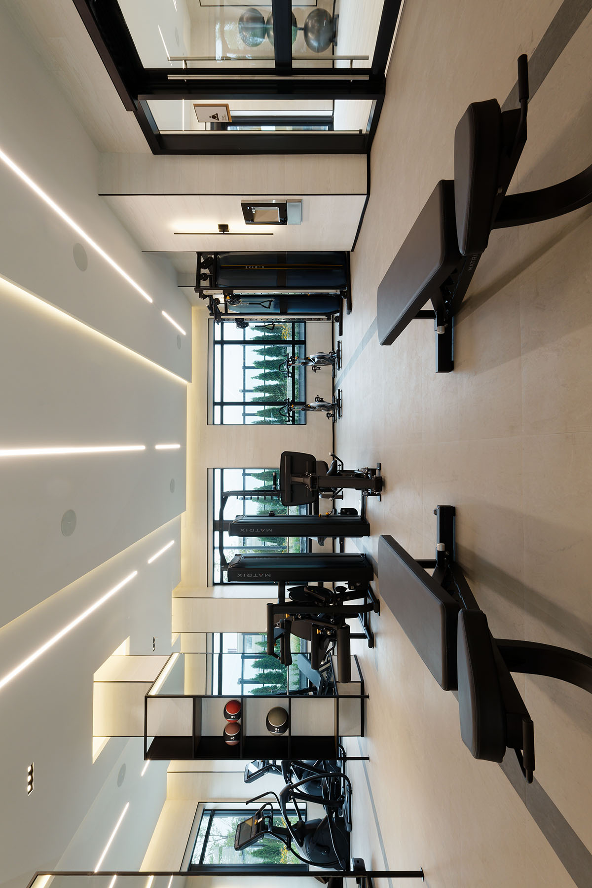 Evermore Amenity Fitness Gym