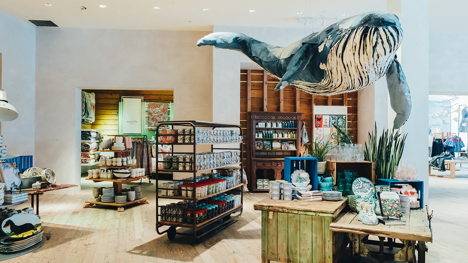 Anthropologie Retail Store
