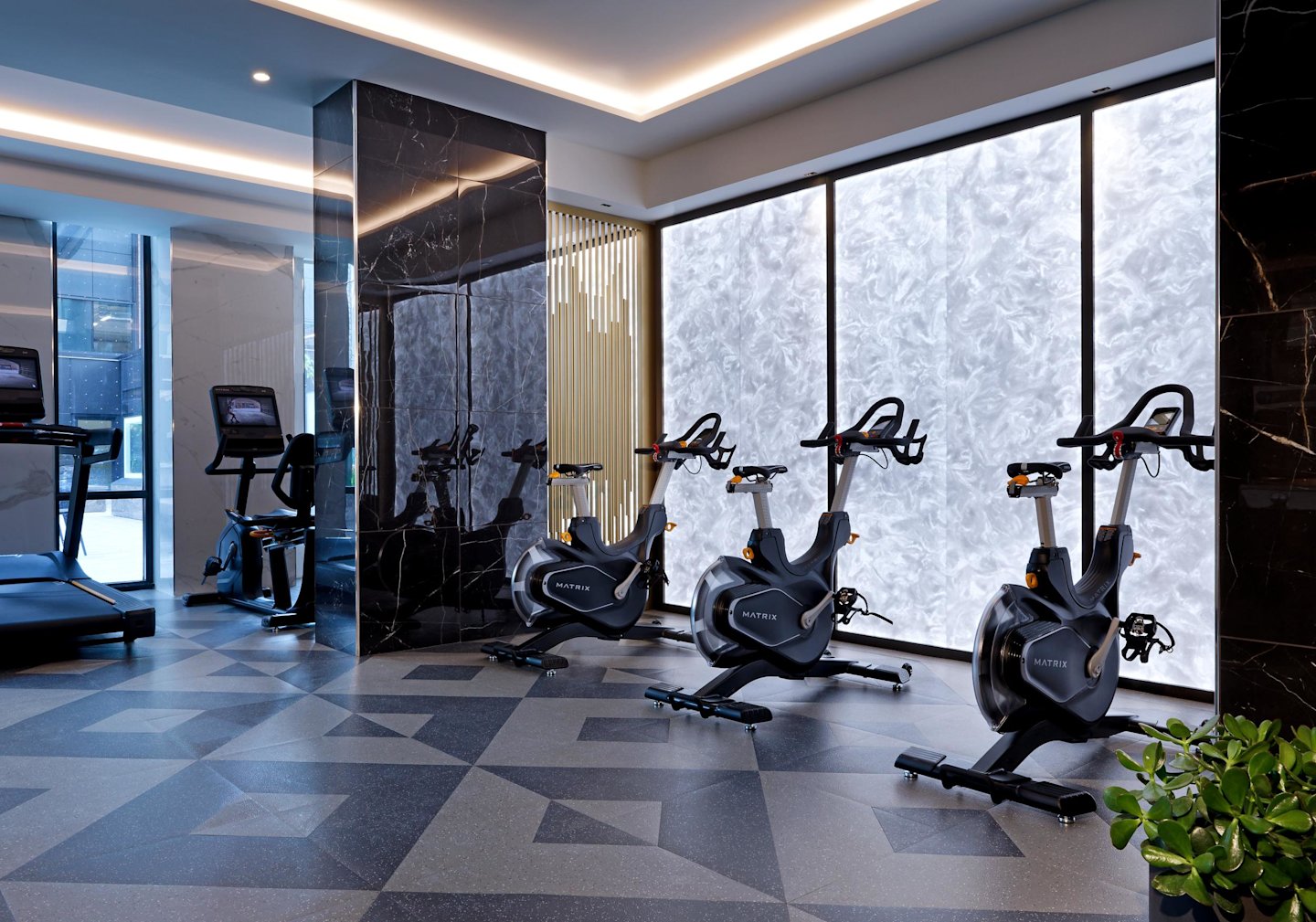 The Well Signature Series Fitness Amenities