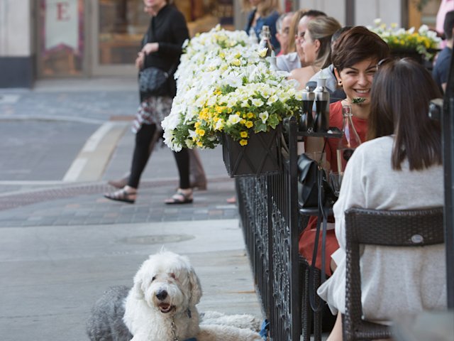 Via Bloor Yorkville