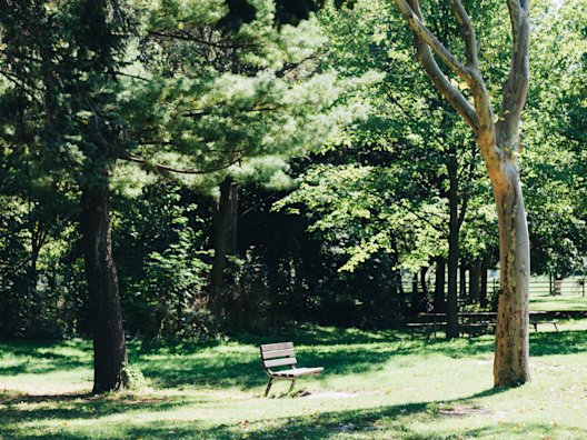 Park with Benches