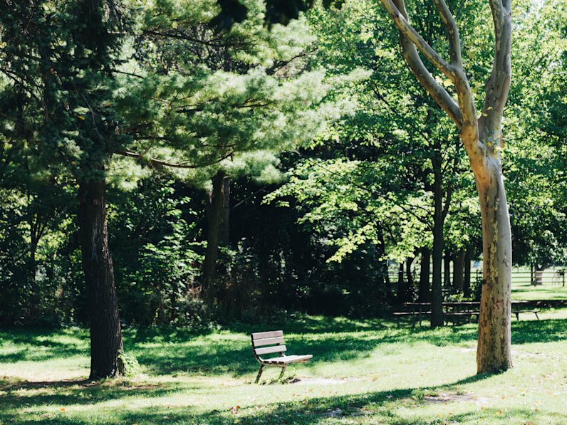 Park with Benches