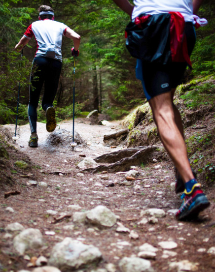 Humber River Recreational Trail 