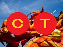 Chinese Dragon Costume