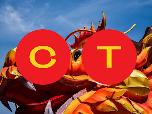 Chinese Dragon Costume