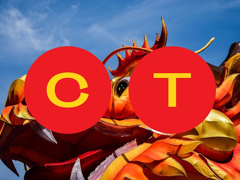 Chinese Dragon Costume