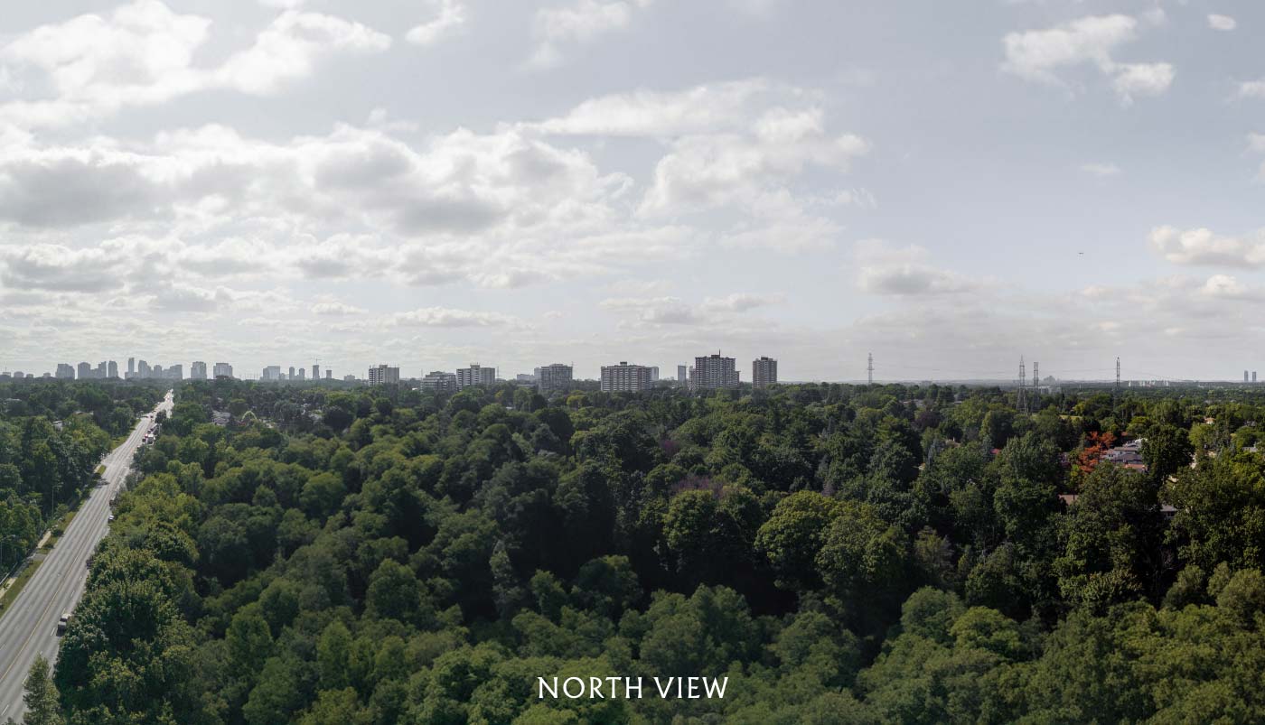 North View from Bayview Woods Condominiums