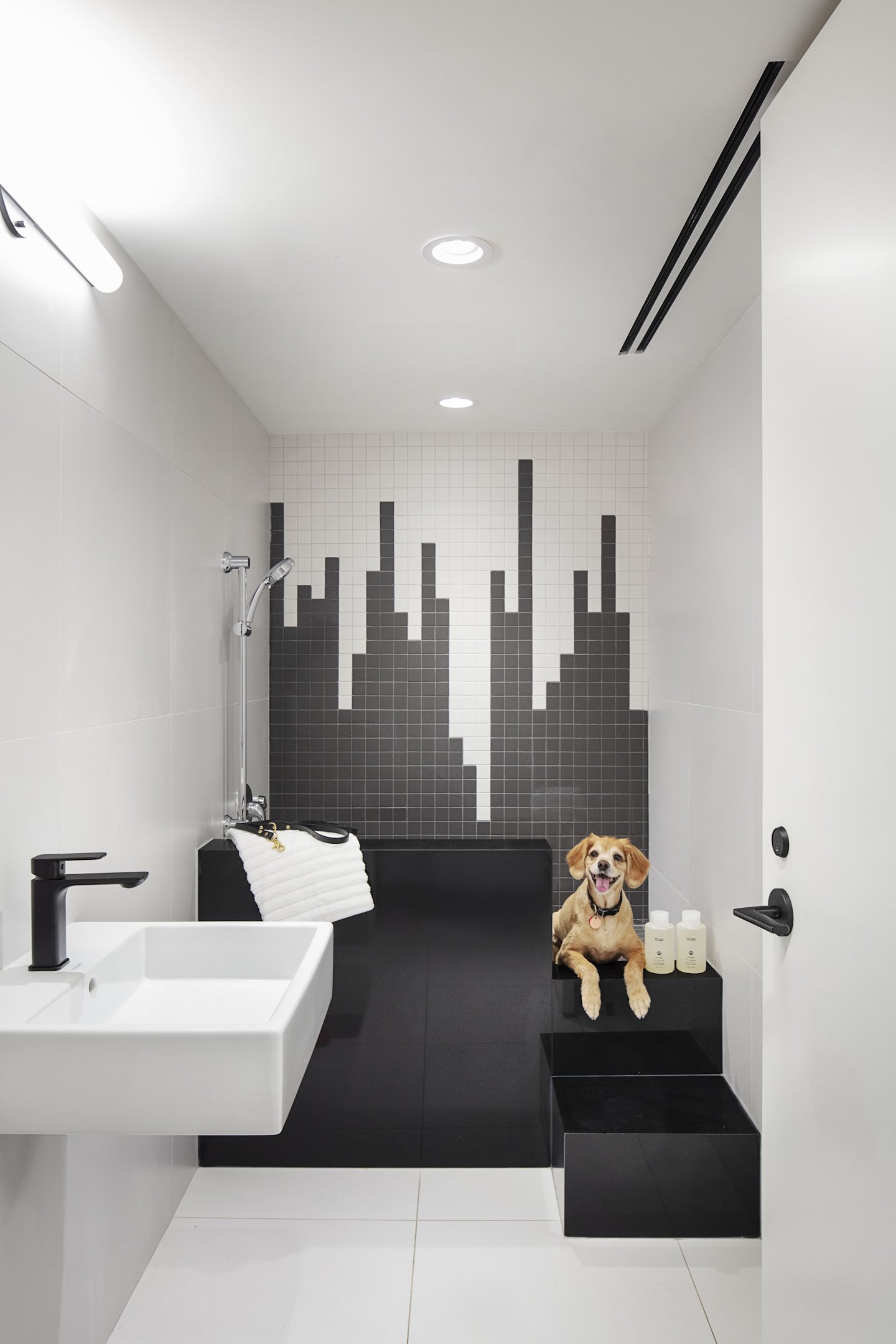 MRKT Amenities Pet Wash