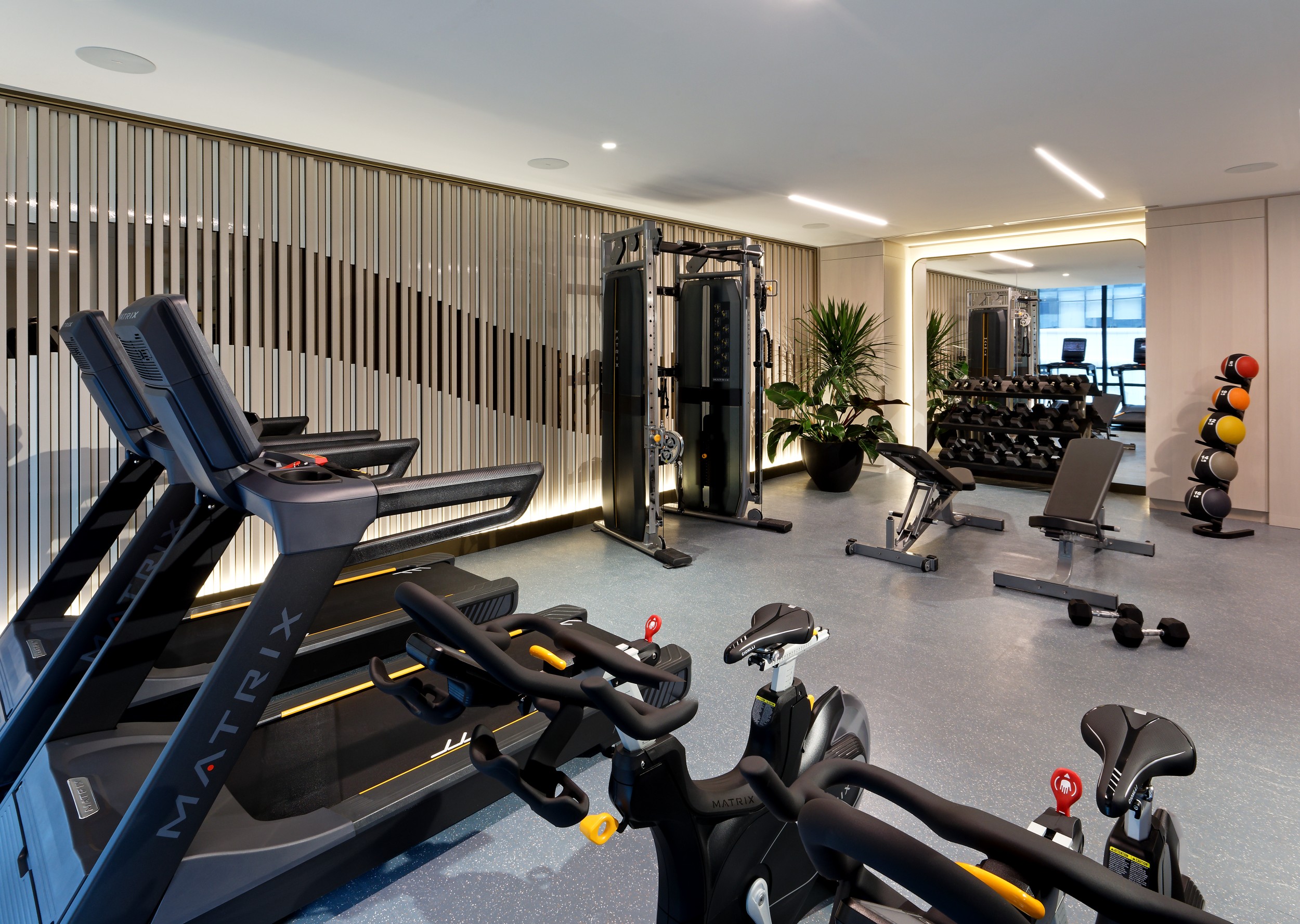 The Well Classic II Gym Amenities