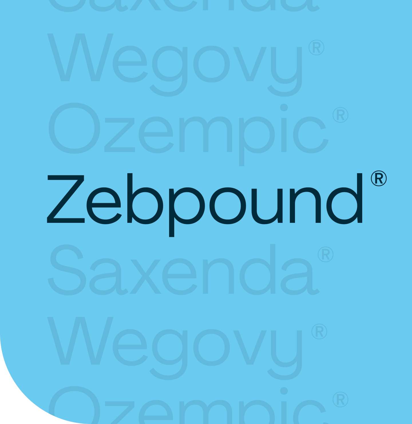 Zepbound® Prescription Information Everlywell