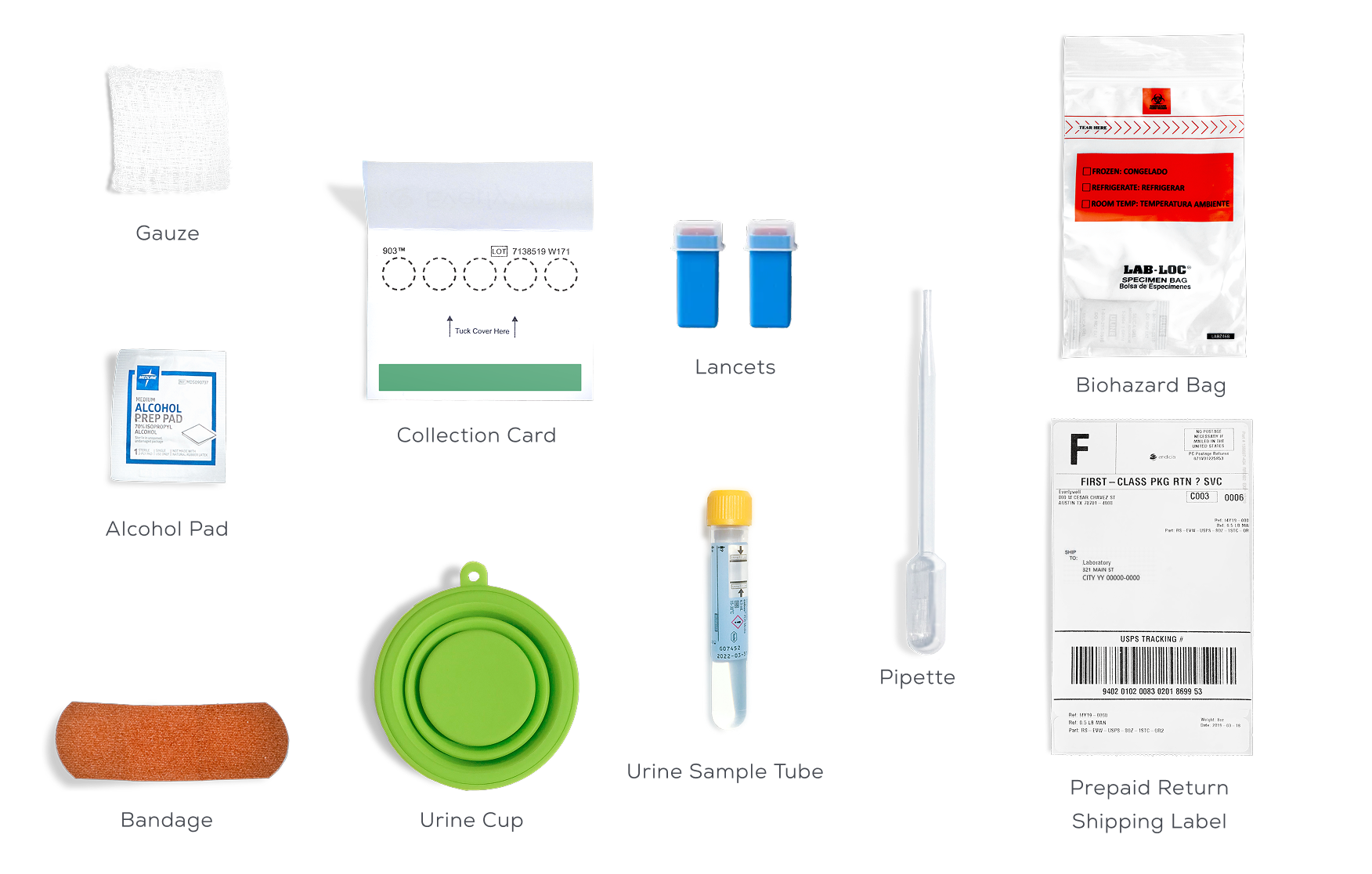 What's In The Box - Blood and Urine Test, Desktop - STD 5 Panel