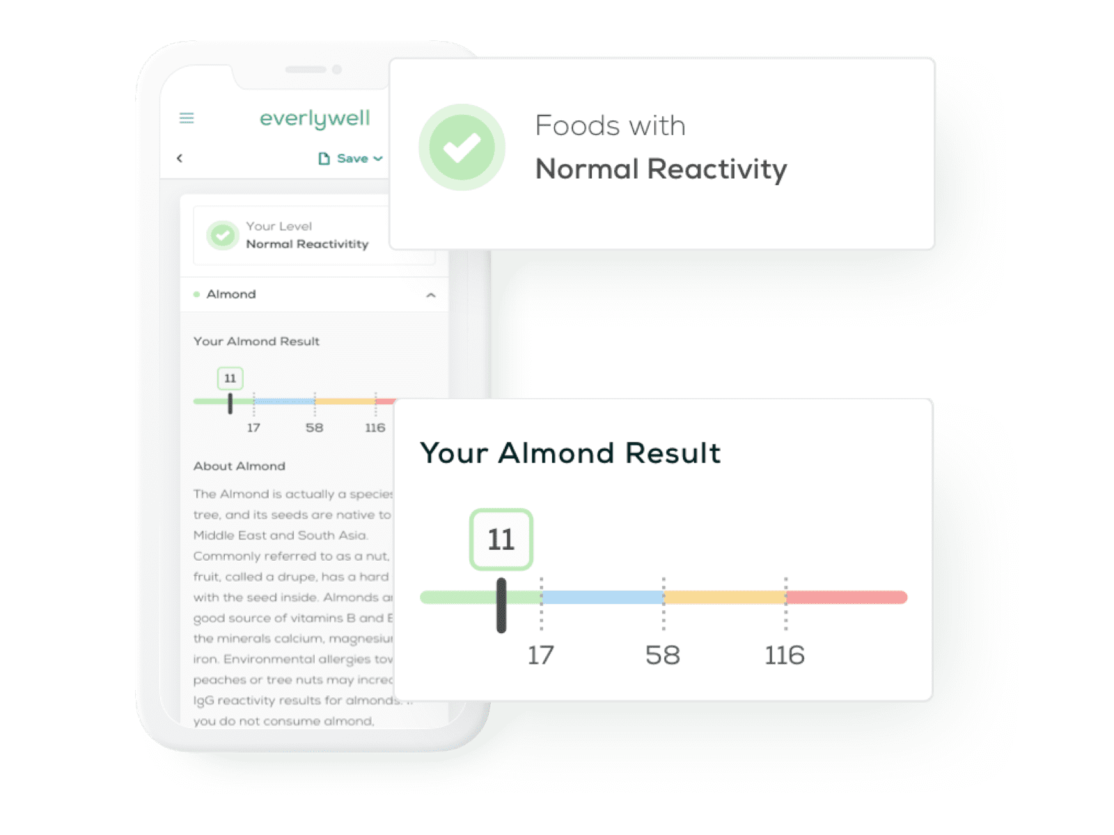 review everlywell food sensitivity test