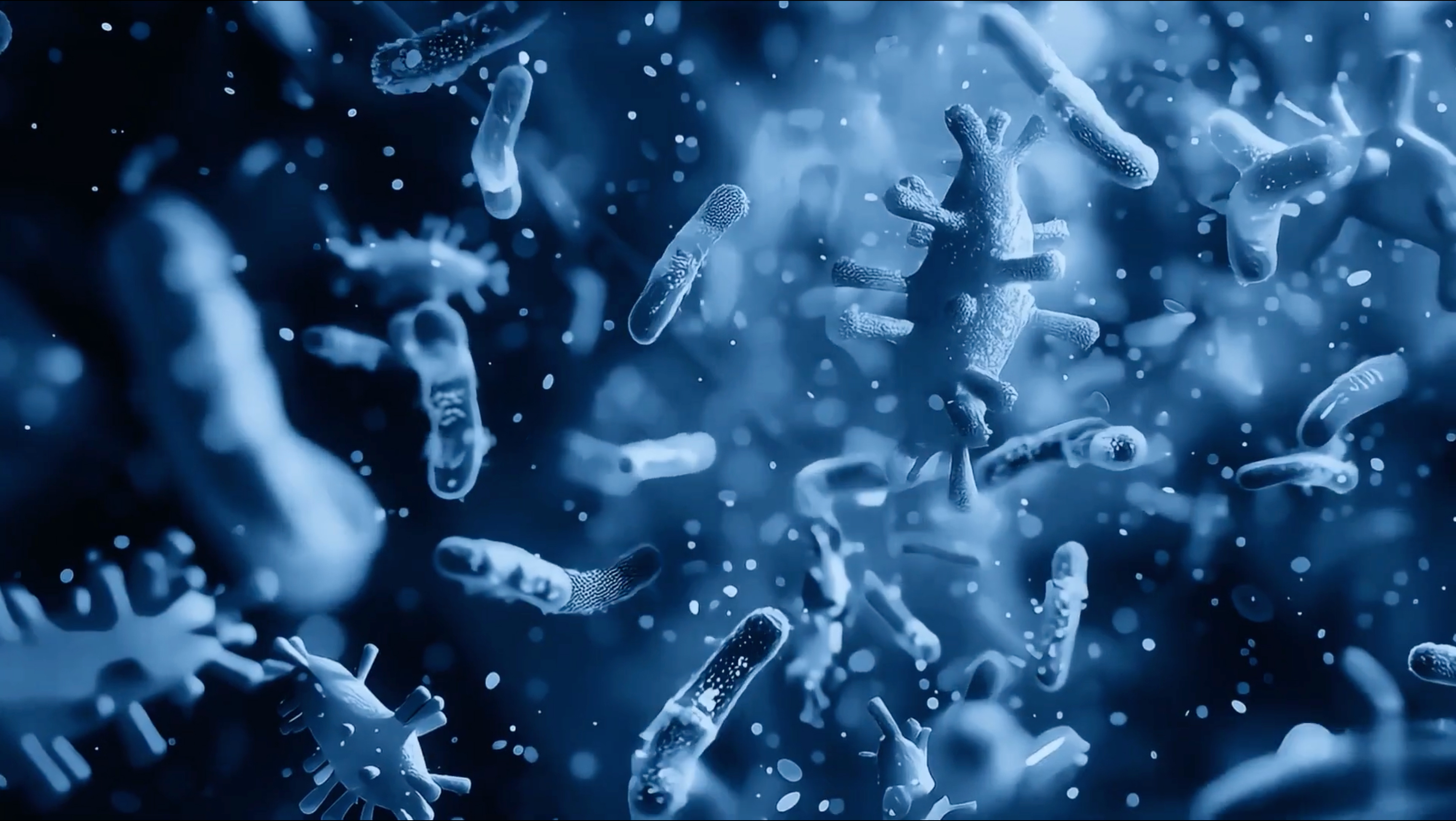 Translating data into meaningful health insights.