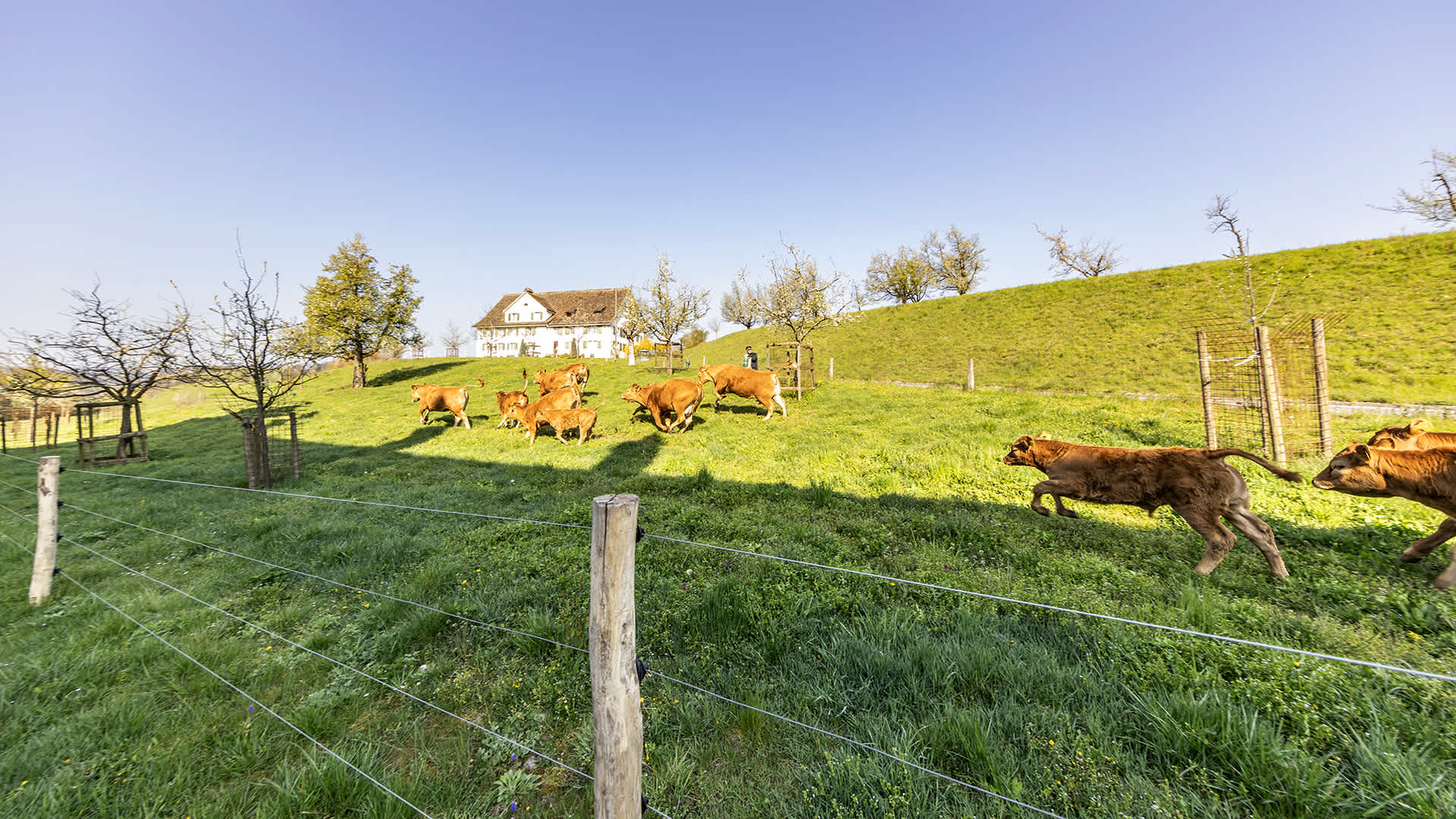 fahr-erlebnis-background