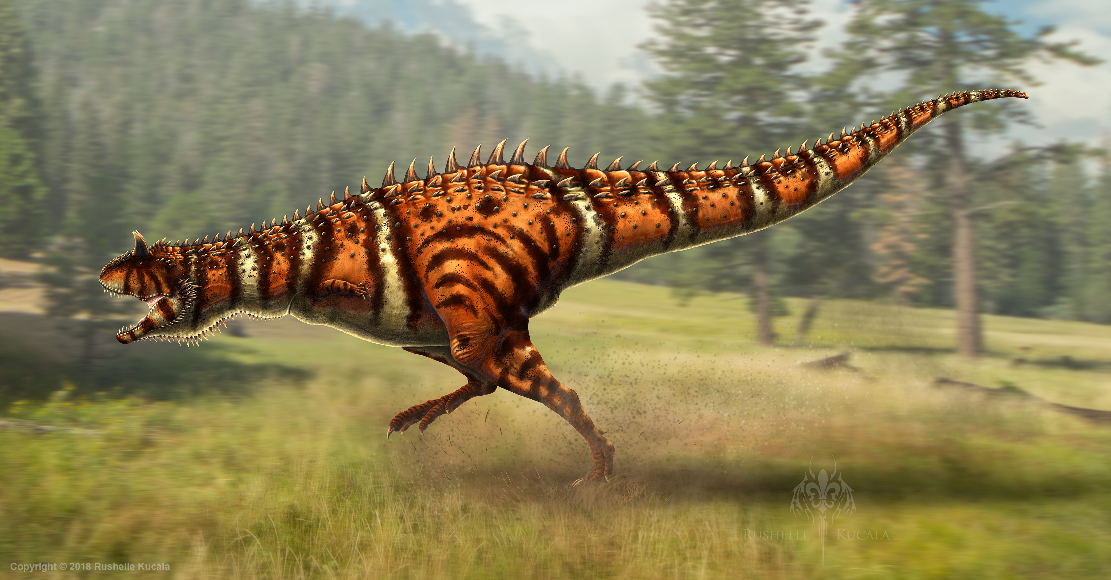 Rushelle com Carnotaurus  sastrei Anatomy Study