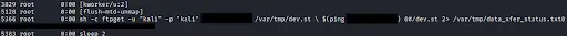 Eventually it was discovered that the calling method does not properly sanitize the `username` and `path` parameter prior to appending the flags to the busybox `ftpget` command.