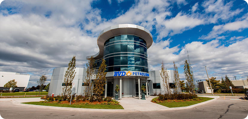 The BVD Group Case Study