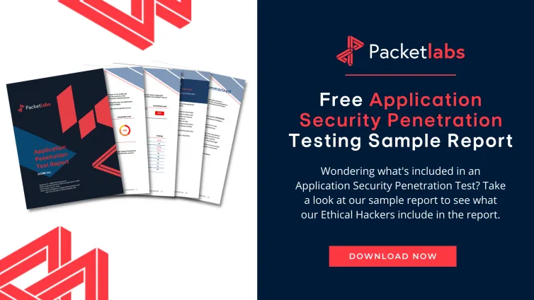 Application Security Testing Sample Report