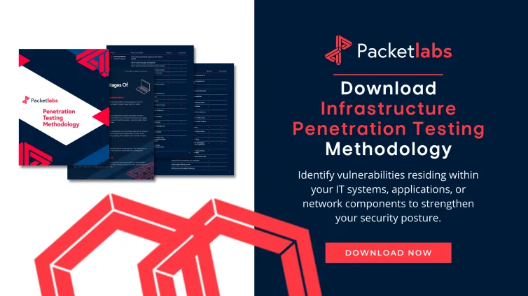 Download Pentesting Methodology