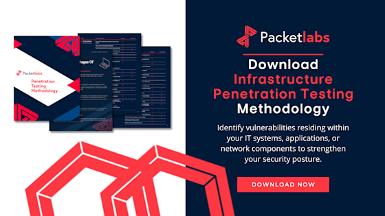 Your Guide to Penetration Testing