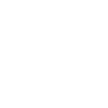 CISSP Security Logo