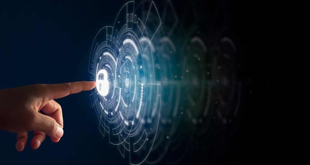 Honeypots: Defensive Security Efforts