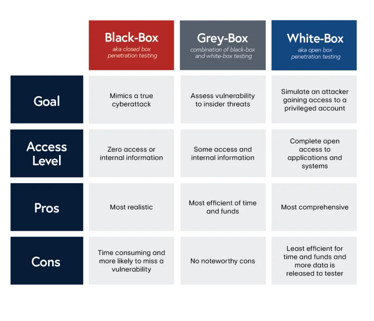 Penetration Testing Infographic