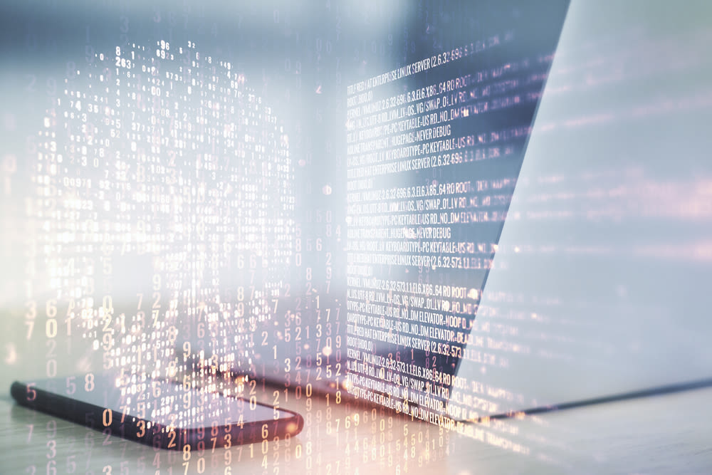 Remote Access Phishing Scams