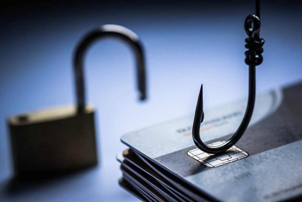 New Zealand Ransomware Statistics