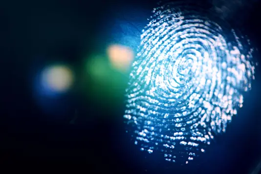 Common Mistakes Made During a Computer Forensics Analysis 