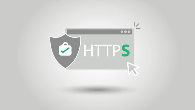 Encrypted HTTPS Traffic: Malware Risk